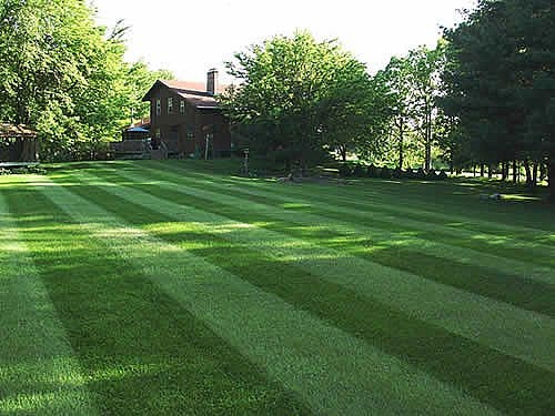 mow-perfect-lawn-800X800.jpg